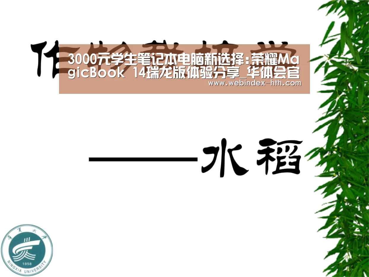 3000元学生笔记本电脑新选择:荣耀MagicBook 14瑞龙版体验分享_华体会官方首页(图3) 华体会