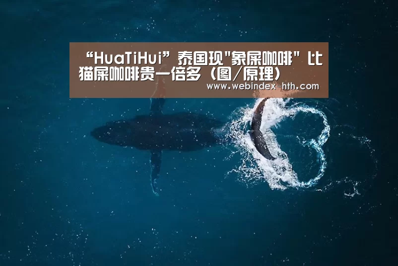 “HuaTiHui”泰国现象屎咖啡 比猫屎咖啡贵一倍多(图/原理)(图1) 华体会官方首页