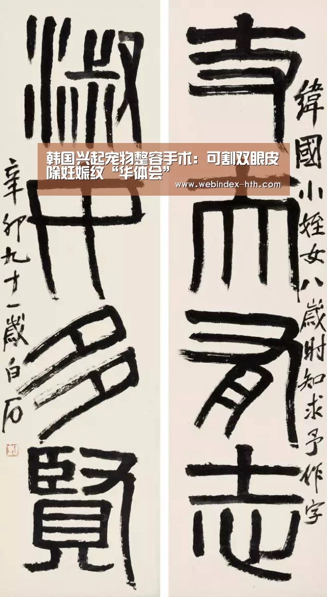 韩国兴起宠物整容手术:可割双眼皮除妊娠纹“华体会”(图1) 华体会官方首页