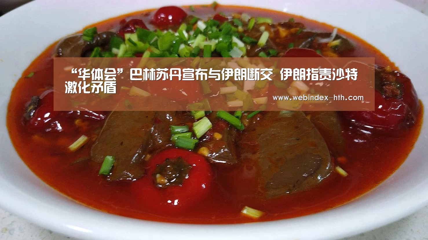 “华体会”巴林苏丹宣布与伊朗断交 伊朗指责沙特激化矛盾(图1) “华体会”巴林苏丹宣布与伊朗断交 伊朗指责沙特激化矛盾(图1)