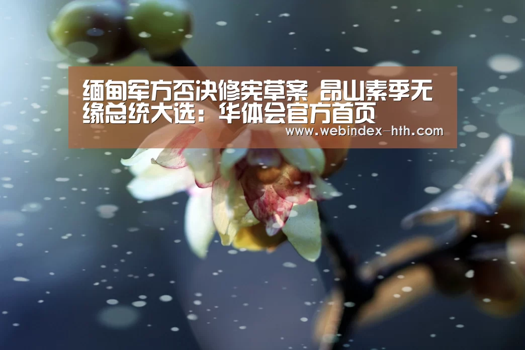 缅甸军方否决修宪草案 昂山素季无缘总统大选:华体会官方首页(图2) 华体会