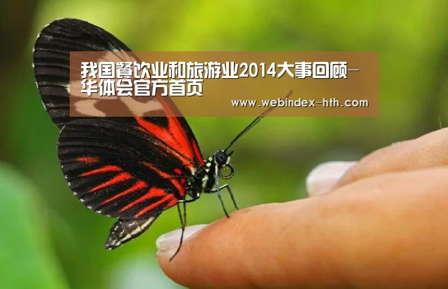 华体会