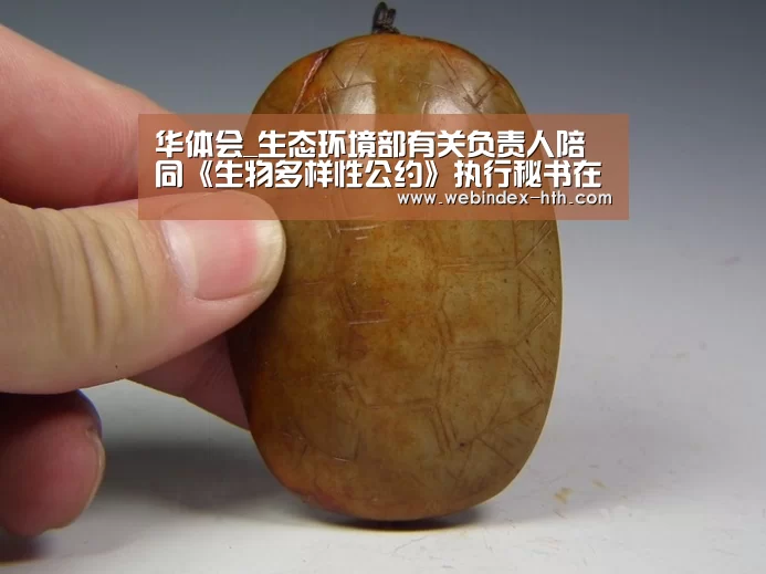 华体会_生态环境部有关负责人陪同《生物多样性公约》执行秘书在昆明考察(图2) 华体会_生态环境部有关负责人陪同《生物多样性公约》执行秘书在昆明考察(图2)